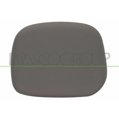 Imagen de PRASCO PG9047413 Cubierta, retrovisor exterior derecha PEUGEOT: Partner I Combispace, CITROËN: Berlingo / First Furgoneta