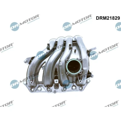 Imagen de DR.MOTOR AUTOMOTIVE DRM21829 Colectores de Admisión con juntas SEAT: Ibiza 4, VOLKSWAGEN: Polo V Hatchback