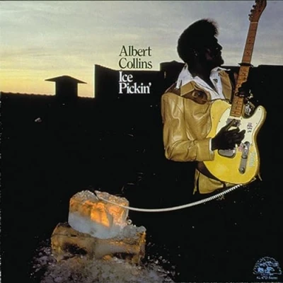 Imagen de Ice Pickin&#039; [Vinilo]