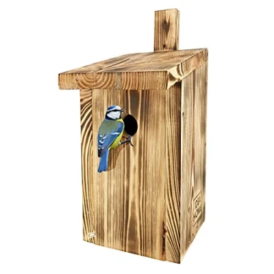 Imagen de Leviatan PARIDAE Cajas Nido Pájaros del Carbonero Común, Madera Maciza, retorcido Pajareras Resistentes a la Intemperie, latón, Perfekt, Listo para Usar, no Requiere Montaje