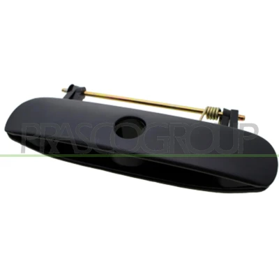 Imagen de PRASCO VG0238341 Manecilla de Puerta exterior, Capó trasero negro VOLKSWAGEN: Polo IV Hatchback