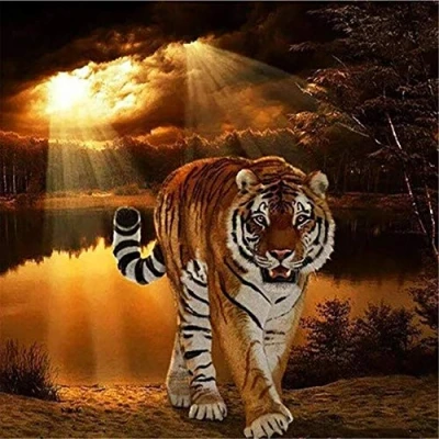 Imagen de Puzzle 1000 Piezas,Tigre por el agua Puzzle,Rompecabezas Redondo,Puzzle Creativo,Puzzle Adultos 26X38cm（10.23X14.96inch）