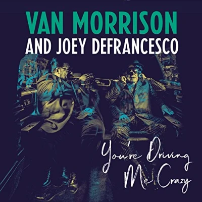 Imagen de You&#039;re Driving Me Crazy [Vinilo]