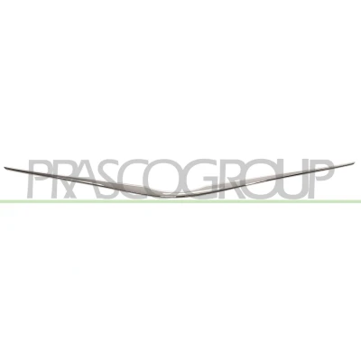 Imagen de Listón embellecedor/projoector, panal de radiador BLIC 6502 07 8156210Q