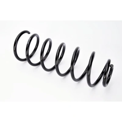 Imagen de Magnum Technology SX117MT Muelle de suspensión Eje trasero helicoidal para vehículos sin regulación nivel