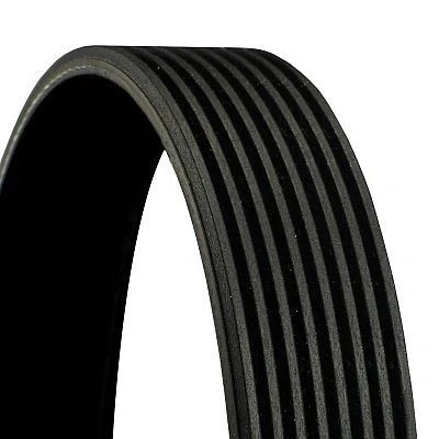 Imagen de CONTITECH 8PK1255 Correa trapecial poli V 1255 8 SCANIA: P,G,R,T series