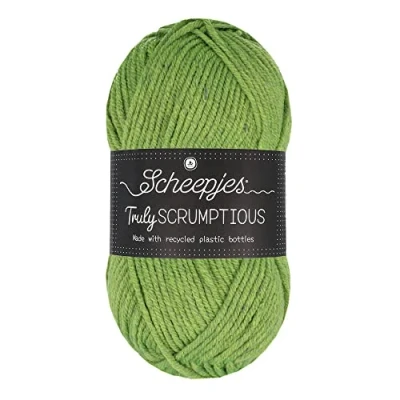 Imagen de Scheepjes 326 Matchagasa Pastel Realmente Scrumptious Hilo 5x100g