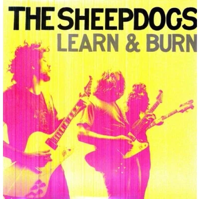 Imagen de Learn &amp; Burn [Vinilo]