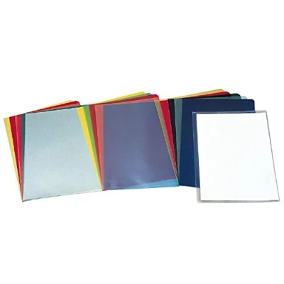 Imagen de ESSELTE 14600 Dossiers uñero PVC 180 micras (caja 100 ud.) 30. Folio color transparente
