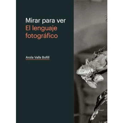 Imagen de MIRAR PARA VER. EL LENGUAJE FOTOGRÁFICO (SIN COLECCION)