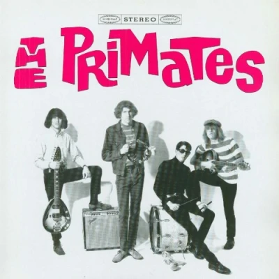 Imagen de We Are The Primates [Vinilo]