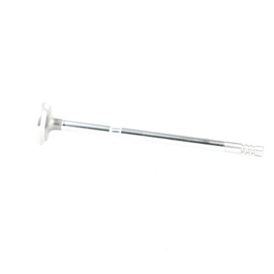 Imagen de Válvula de escape MAHLE ORIGINAL 081 VA 31261 000