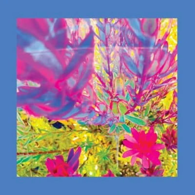 Imagen de The Past Is A Garden I Never Fed Reds, Pinks and Purples