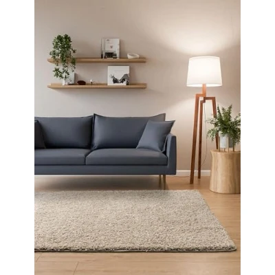 Imagen de Interiyou Sofia Alfombra de pelo largo, 120 x 170 cm, color beige, mullida y monocolor, lavable antideslizante, largo suave