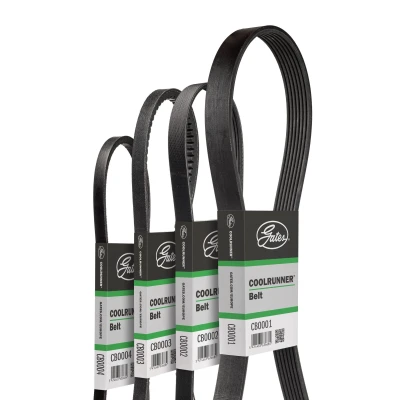 Imagen de GATES CB0070 Correa Trapecial 13 875