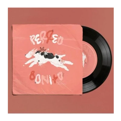 Imagen de Perreo Bonito Vinilo Single 7&quot; Carlos Sadness