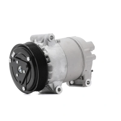 Imagen de DELPHI TSP0155829 compresor de Aire Acondicionado 5CVC PAG 46 con aceite RENAULT: GRAND SCENIC 2, MEGANE 2 norauto, oscaro,