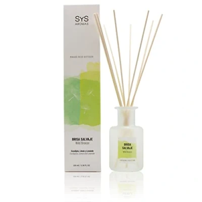 Imagen de Ambientador Mikado con Varillas Brisa Salvaje 100ml. Difusor de Aromas Experience. Esencia para Casa Aroma a Eucalipto, Limón y Lavanda. Hogar Decoración.