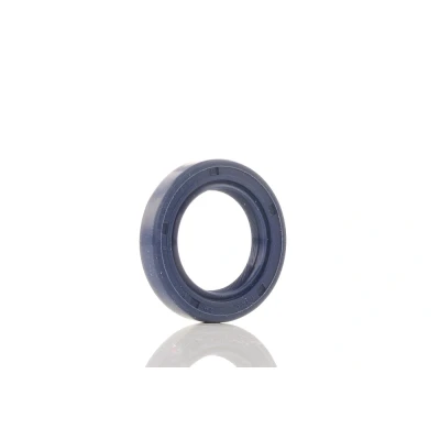 Imagen de REINZ 81 53224 00 Retén de Árbol Levas HONDA: Civic 6 Coupe, Stufenheck, V Hatchback
