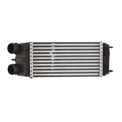 Imagen de THERMOTEC DAC003TT Intercooler 300 157 80 CITROËN: C3 I Hatchback, C2 PEUGEOT: 207 Hatchback