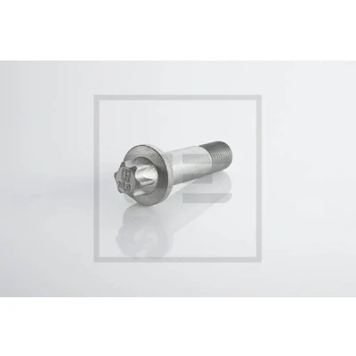 Imagen de PETERS ENNEPETAL 296.003 00A Tornillo M16x1,5 Torx