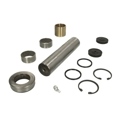 Imagen de Kit de reparación, pivote C.E.I 230079
