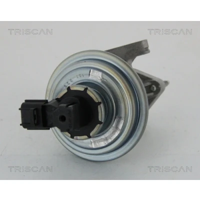 Imagen de TRISCAN 8813 16045 Válvula EGR controlado por vacío sin juntas FORD: Transit Mk5 Furgón, Camión de plataforma/Chasis, Bus