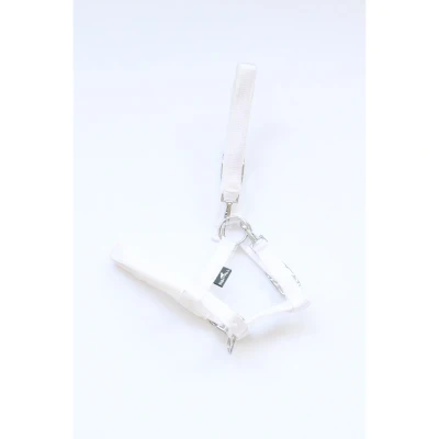 Imagen de HB EQU ALL Foal Halter