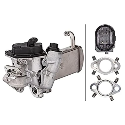 Imagen de HELLA 6NU 358 167 051 Módulo AGR con juntas, radiator EGR válvula
