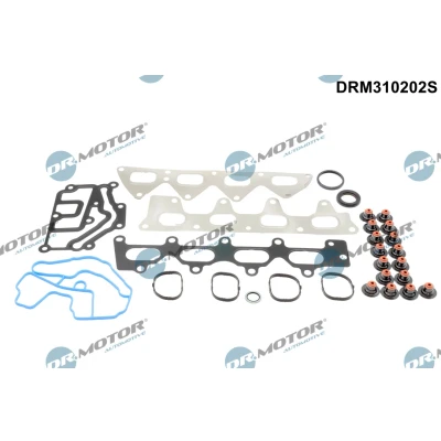 Imagen de DR.MOTOR AUTOMOTIVE DRM310202S Juego de juntas, culata RENAULT: CLIO 2, MEGANE 3, DACIA: Duster SUV, Logan I Berlina
