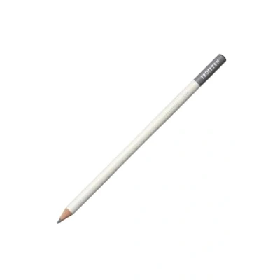 Imagen de Tombow IROJITEN Lapices de Colores Profesionales Calidad Ideal para Ilustraciones, Bullet Journaling, Mandalas Uso Doméstico y Profesional Color Pigeon Gray