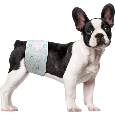 Imagen de ScratchMe Pañal desechable para machos súper Absorbente y a Prueba de Fugas, micción excitable o incontinencia 40 Count pequeño Blanco PTDIAPM40S S