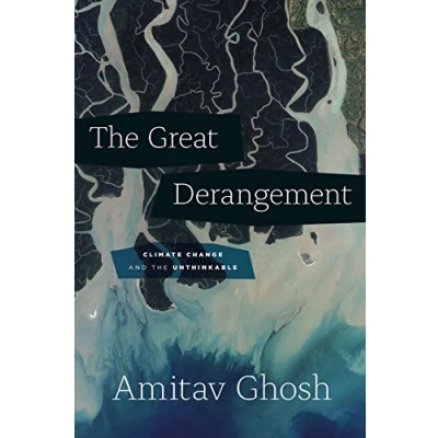 Imagen de the Great Derangement: Climate Change and Unthinkable (Berlin Family Lectures)