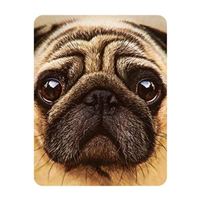 Imagen de Deluxebase 3D LiveLife Imán Perrito Pug de Nevera lenticular con diseño Perrito. Adorno magnético para niños y Adultos Estampado ilustración del reconocido Artista David Penfound