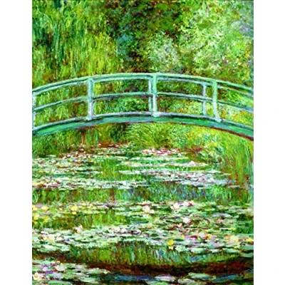 Imagen de liziciti Monet Kits de pintura diamantes 5D, colección pinturas famosas para decoración pared del hogar, bricolaje, 12 x 16 pulgadas (estanque lirio agua)