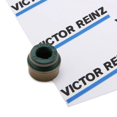 Imagen de REINZ 70 26058 00 Retenes de Válvulas VOLKSWAGEN: Transporter 5, GOLF 3, Multivan 5 (7HM, ALFA ROMEO: 147, PEUGEOT: 206 Hatchback norauto, oscaro,
