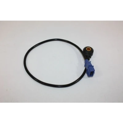 Imagen de Sensor de detonación AUTOMEGA 150030810