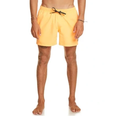 Imagen de Quiksilver Everyday 15&quot; Short de Natación para Hombre