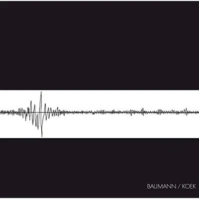Imagen de Baumann / Koek (edición Vinilo)