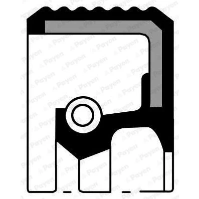 Imagen de PAYEN NF849 Anillo retén, árbol intermedio RENAULT: 19 II Hatchback