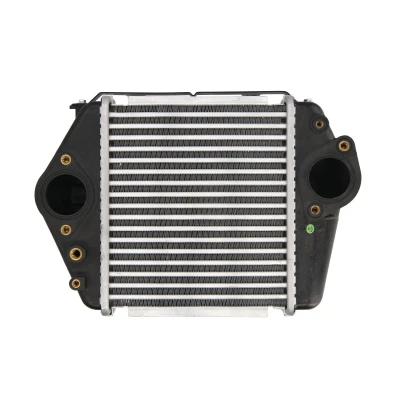 Imagen de THERMOTEC DA3004TT Intercooler