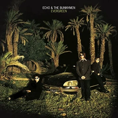 Imagen de Evergreen (25 Anniversary Edition)