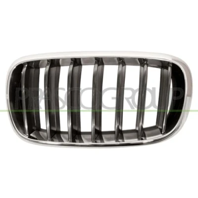 Imagen de BLIC 6502 07 00969911P Parrilla Delante, izquierda cromo, negro BMW: X5