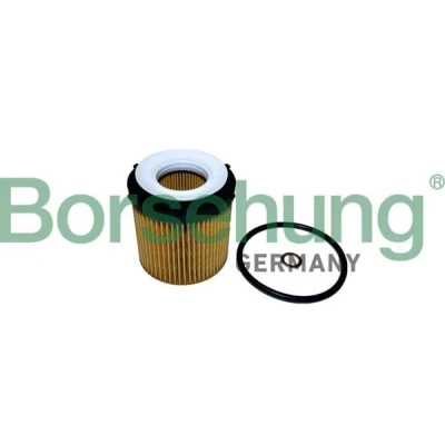 Imagen de Borsehung B10441 Filtro de aceite Cartucho filtrante BMW: 5 Sedán, X1, Touring