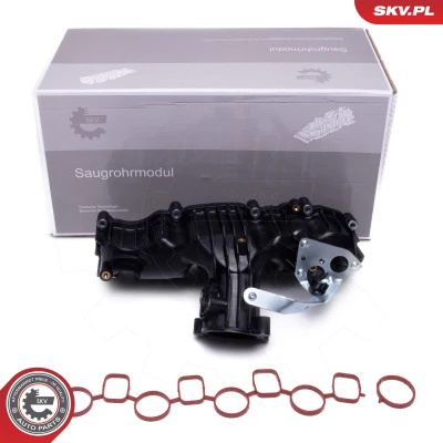 Imagen de Módulo de tubo admisión ESEN SKV 49SKV077