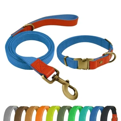 Imagen de Qianruida Juego de Collar y correa para perros ajustable pequeños, medianos grandes, azul cielo, L