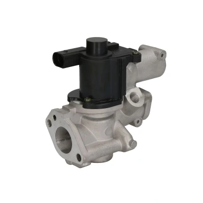 Imagen de Válvula EGR DELPHI EG10509
