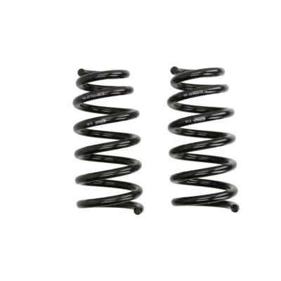 Imagen de Kit de suspensión, muelles Pro EIBACH E10 20 032 03