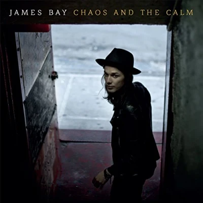 Imagen de Chaos And The Calm [Vinilo]