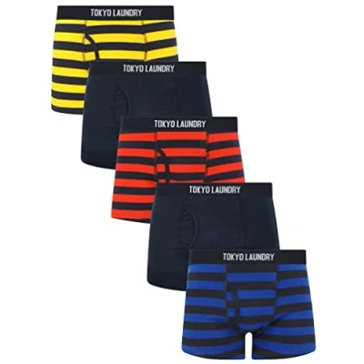 Imagen de Zavi (5 Pack) Cotton Sports Boxer Shorts Set in Bright Stripe Tokyo Laundry L